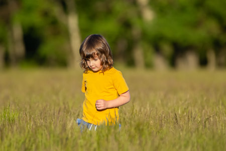 Cute toddler farm girl in bright yellow t-shirt is walking in the agricultural field with fescue grass in summer.の写真素材