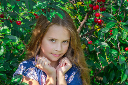 Real people, country girl with long hair among branches with green leaves and many red sour cherries...