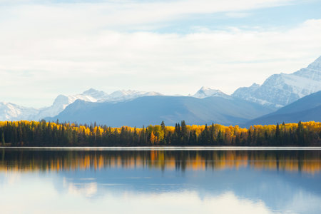 Scenic autumn view on the mountain lake with yellow and green trees, and blue calm waters in the Rocky mountains. Jasper national park, Alberta, Canadaの写真素材