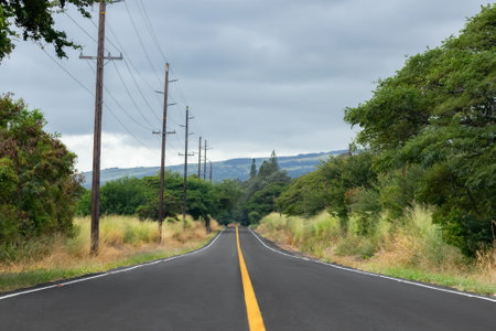Highway with black asphalt and yellow dividing line in Hawaiian jungles, blue sky above. Highway 11, Big Island, Hawaii, the USA.の写真素材