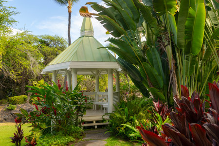 Wooden white and green gazebo in a beautiful tropical garden, surrounded with exotic trees, shrubs and flowers. Hawaii islands.の写真素材