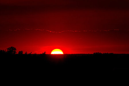 Dramatic saturated red sunset in the smoky sky, calm evening with tree silhouettes and clouds.の写真素材