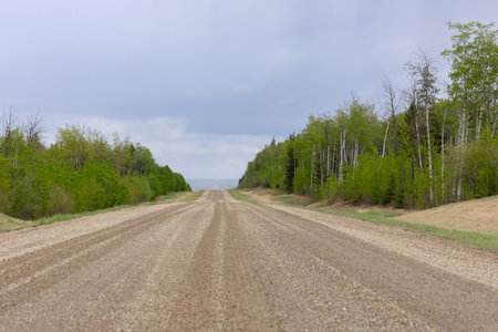 Single lane dirt country road with gravel in the rural area, green trees on sides, spring blue sky and rain in the horizon.の写真素材