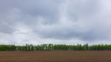 A scenic rural landscape capturing a freshly seeded agricultural field bordered by vibrant...