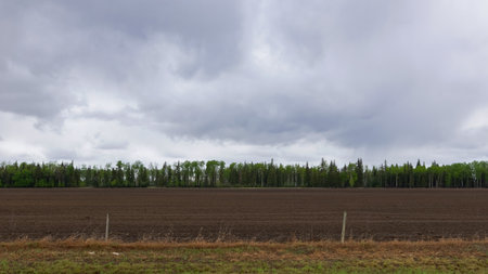 A scenic rural landscape capturing a freshly seeded agricultural field bordered by vibrant green-leaved trees under a dramatic cloudy spring sky, raining in the horizon.の写真素材