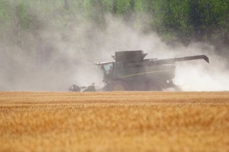 Spirit River, Alberta, Canada - September 12, 2025: Green John Deere combine harvester S780 is harvesting wheat in the yellow field along the woods in dust.のeditorial素材