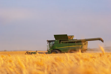 Spirit River, Alberta, Canada - September 12, 2025: Green John Deere combine harvester S780 is harvesting wheat in the yellow field under the blue sky.のeditorial素材