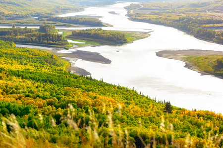 View from the hill to the river down in the valley surrounded with forests with yellow and green autumn foliage. Sagitawa lookout, Peace River, Alberta, Canada.の写真素材