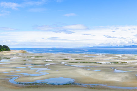 Panoramic view to the sandy beach with tide pools at low tide, blue sky with white clouds in summer day. Parksville, Vancouver island, BC, Canada.の写真素材