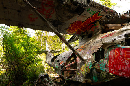Crash site of the military Canso bomber plane in the dense rainforest in summer, green foliage and sunny day. Tofino, Vancouver island, BC, Canada.の写真素材