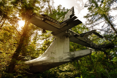 Crash site of the military Canso bomber plane in the dense rainforest in summer, green foliage and sunny day. Tofino, Vancouver island, BC, Canada.の写真素材