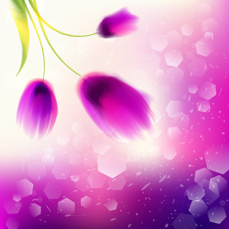Watercolor romantic blooming poppy flowers isolated vector illustration Template for wedding, valentine day, mothers day, birthday, invitations.のイラスト素材