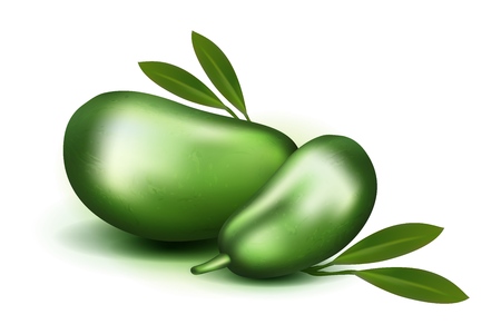 Photo Realistic 3d vector pulp and seeds with leaves. Isolated on white background papaya papaw fruit asimina triloba, custard apple, or pawpaw plant carica papaya, genus carica.のイラスト素材