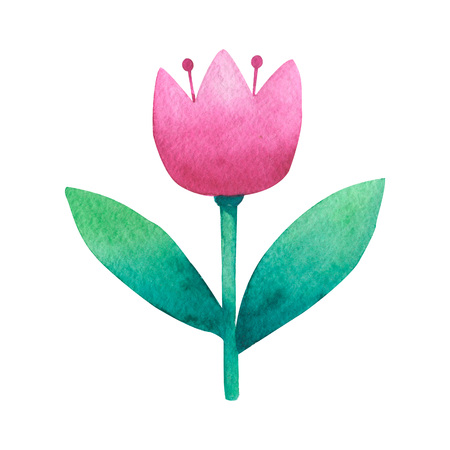 Watercolor background stylized folk ethnic nature floral elements set design. Hand-drawn watercolor illustrationの写真素材
