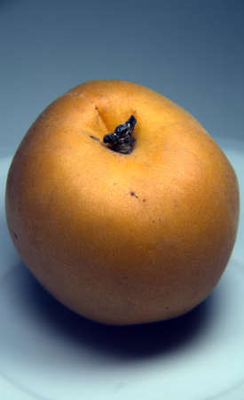 apricot photographed on a small plate, in still lifeの写真素材