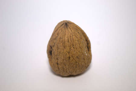 close-up of walnut, with white background, in still lifeの写真素材