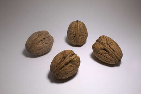 close-up of walnuts, with white background, in still lifeの写真素材