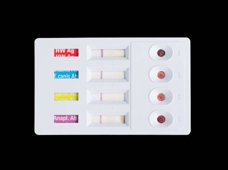 Immunoassay for the detection of Dirofilaria immitis antigen, the antibody against Anaplasma...