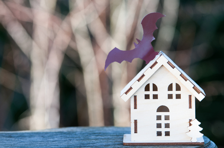 Toy house with a bat, Background for halloween, autumn, loneliness, threatの写真素材
