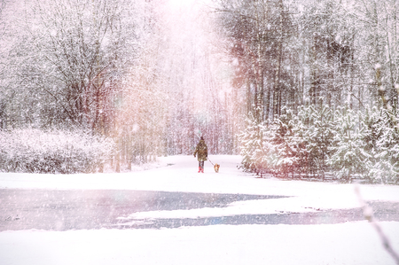 girl walking the dog in snow in winter forest. Christmas, New Year, frostの写真素材