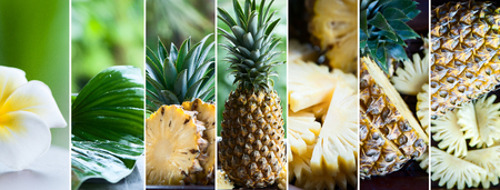 Pineapple in natural conditions on a beautiful tropical background. Exotic, tropical fruits. Healthy food concept, bio. Organic food. Collageの写真素材