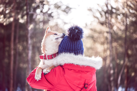 Girl with a dog in her arms. The concept of friendship between a dog and a man. Shiba inu and the...