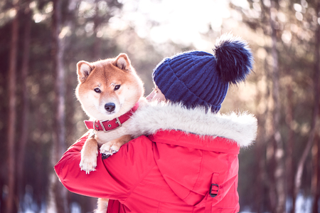 Girl with a dog in her arms. The concept of friendship between a dog and a man. Shiba inu and the girlの写真素材
