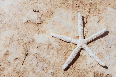 The theme of the beach, recreation, vacation. Sea, sand, rocks and starfish, space for textの写真素材