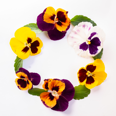 Floral layout, pattern . Wreath frame made of yellow, lilac  flowers on white background, top view, macro. Flat lay, copy space.の写真素材