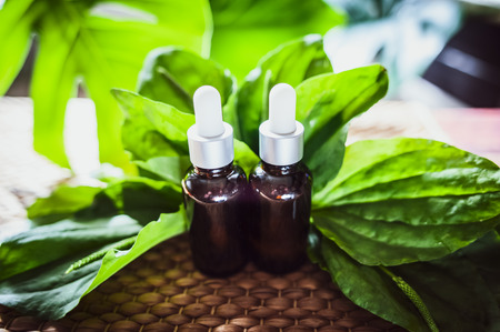 Bottles of plantain oil surrounded by leaves of plantain. Homeopathic and herbal medicine.の写真素材
