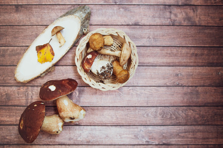 Mushrooms on the table, flat lay , autumn, mushroom background top view , porcini and brown cap boletus, space for textの写真素材