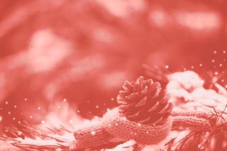 Pine siks in a knitted warm scarf in Colour of the year 2019 - Living Coralの写真素材