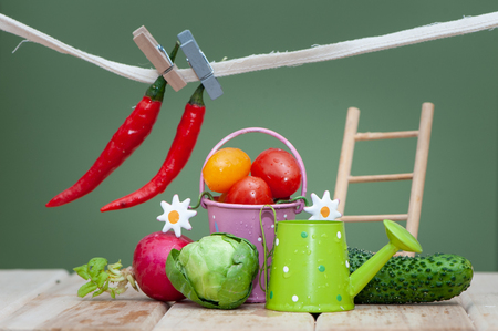 Composition of small fruits and vegetables and garden accessories.  Organic bio fresh vegetable,  healthy eating, drinks, diet and detox concept .の写真素材