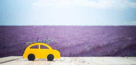 Concept journey through the lavender fields, car with a bouquet of lavender rides on the background of a lavender fieldの写真素材