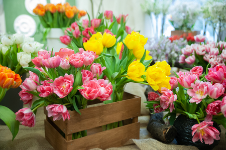 Beautiful blooming composition of colorful tulips, Bright colorful tulip photo background, Hello Spring and Woman day conceptsの写真素材