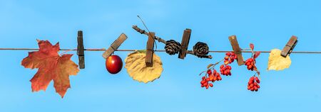 Creative photo on an autumn theme, Autumn leaves, cones, berries and fruits on clothespins, against a blue skyの写真素材