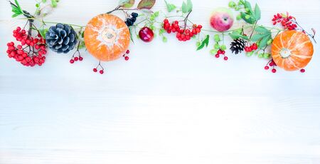 Autumn background with apples and pumpkins, mountain ash and plums. Frame  on the autumn theme  with...