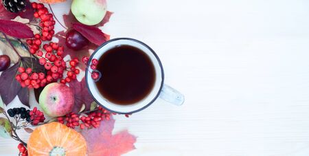 Autumn background with maple leaves, apples and pumpkins, mountain ash and plums and a cup of tea...