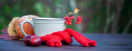 Creative photo on an autumn theme, Stylish cup in a red scarf with autumn fruits and berries. The theme of comfort and warmth in the fallの写真素材