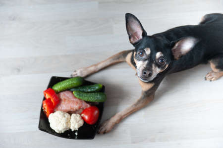 Red and ripe red currants in a straw bowl and jars of berry jam, flat lay. Harvest and cooking themeの写真素材