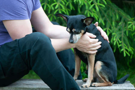 Dog playing with a man, the concept of friendship and love of people with dogs