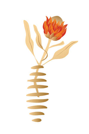 Protea, African rose, Collection of contemporary art. Poster in trendy style, Africanのイラスト素材
