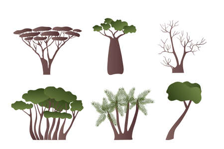 Set of vector trees from Africa and the Orient for design. Acacia, palm and similarのイラスト素材