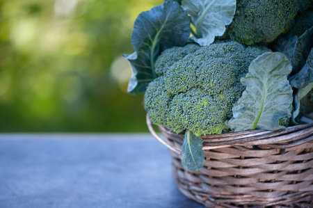 Broccoli in a basket on a natural green background, space for textの写真素材