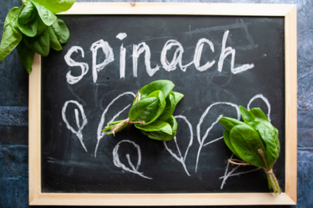 Fresh spinach leaves, Vignette of spinach leaves, rustic style, healthy lifestyle, proper nutrition. Top view, written on the blackboard with chalk - spinachの写真素材