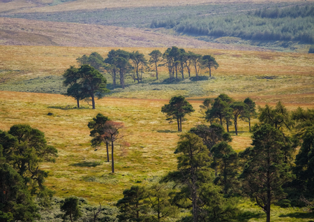 among the tundraの写真素材