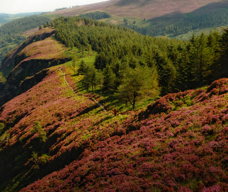 Glendalough trailsの写真素材