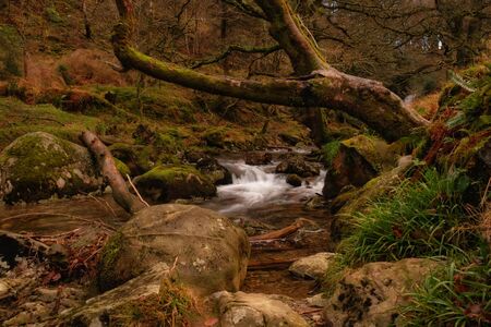 Picturesque and mysterious, long exposure image of Glendalough creeks, Wicklow mountains, Irelandの写真素材