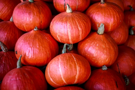 Squashの写真素材