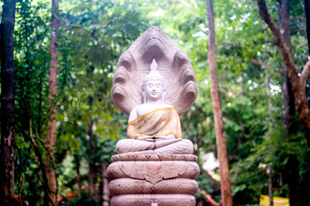 buddha statueの写真素材